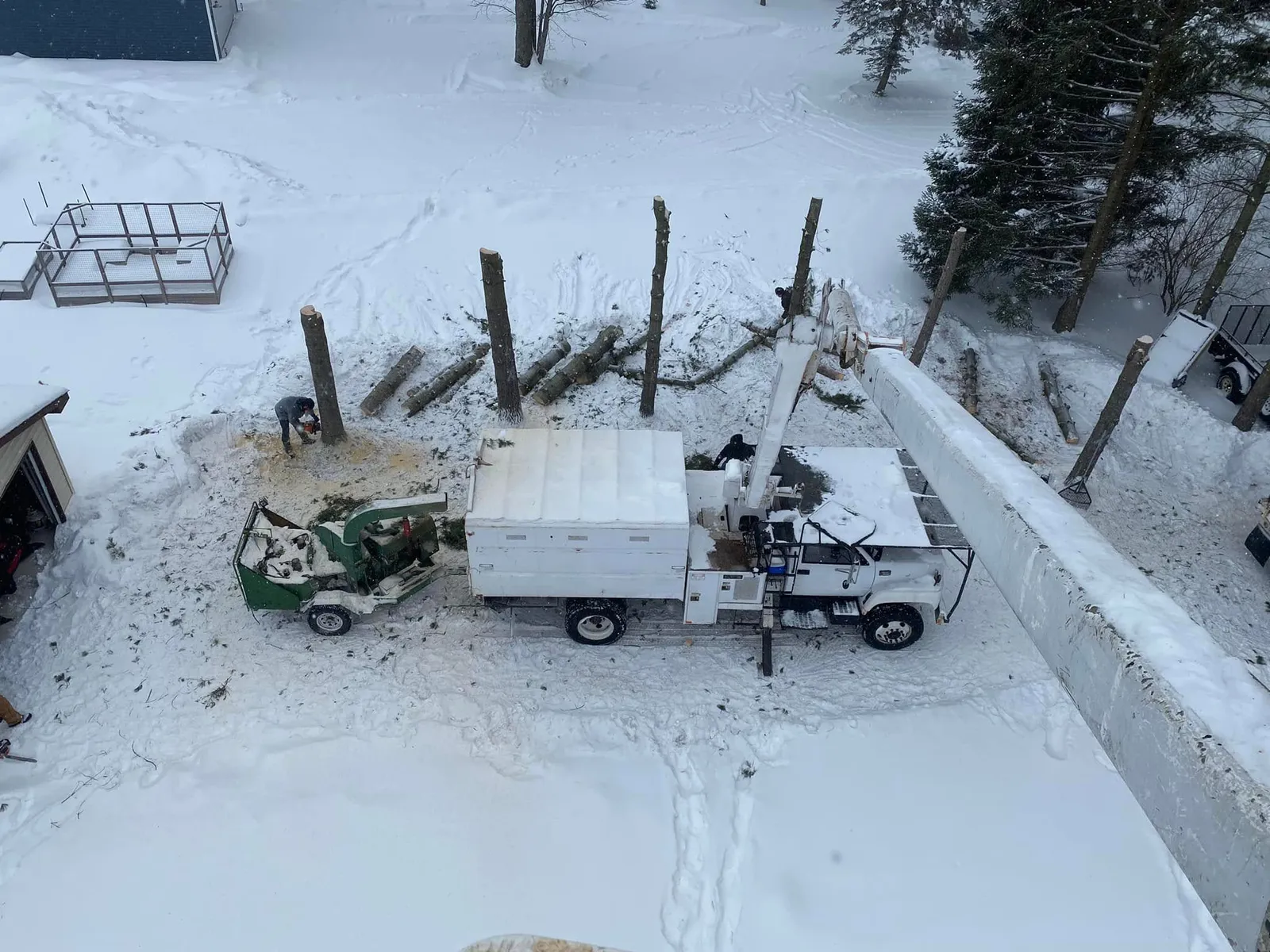 Tree removal: winter job seen from the bucket