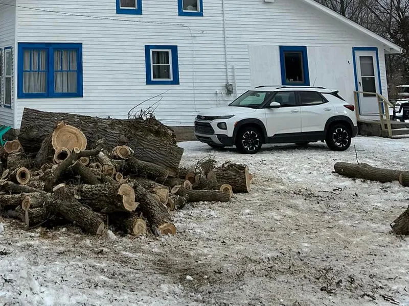 Bucked hardwood rounds stacked in a driveway after a removal